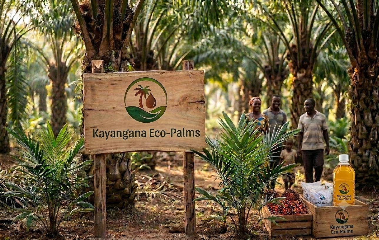 Kayangana Eco-Palms field research